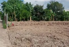 Đất đẹp sổ hồng riêng tại Bà Điểm, Hóc Môn – Hành trình an cư lý tưởng... Bán đất tại Bà Điểm, Hồ Chí Minh 01