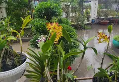 Nhà mặt phố Thảo Điền, 3 tầng, 501m2, mặt tiền rộng 35m - LH: 0918604219 C.Loan... Bán nhà mặt phố tại An Khánh, Hồ Chí Minh 09