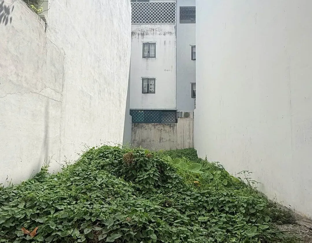 Khu Anh Tuấn Nhà Bè đường nhựa 8m 80m² xây tự do... Bán đất tại Nhà Bè, Hồ Chí Minh 01