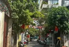 Bán đất mặt phố Thủ Khoa Huân diện tích 176m², gần biển Mỹ Khê, giá ưu đãi... Bán đất tại Sơn Trà, Đà Nẵng 07