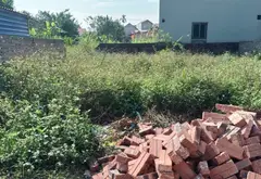 Chớp Lấy Cơ Hội Vàng: Lô Góc 80m² Đất Ở Nông Thôn Dễ Dàng Kinh Doanh!... Bán đất tại Nội Bài, Hà Nội 01