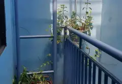 Nhà mặt phố siêu hiếm tại Quận 8, cực hợp kinh doanh... Bán nhà mặt phố tại Phú Định, Hồ Chí Minh 02