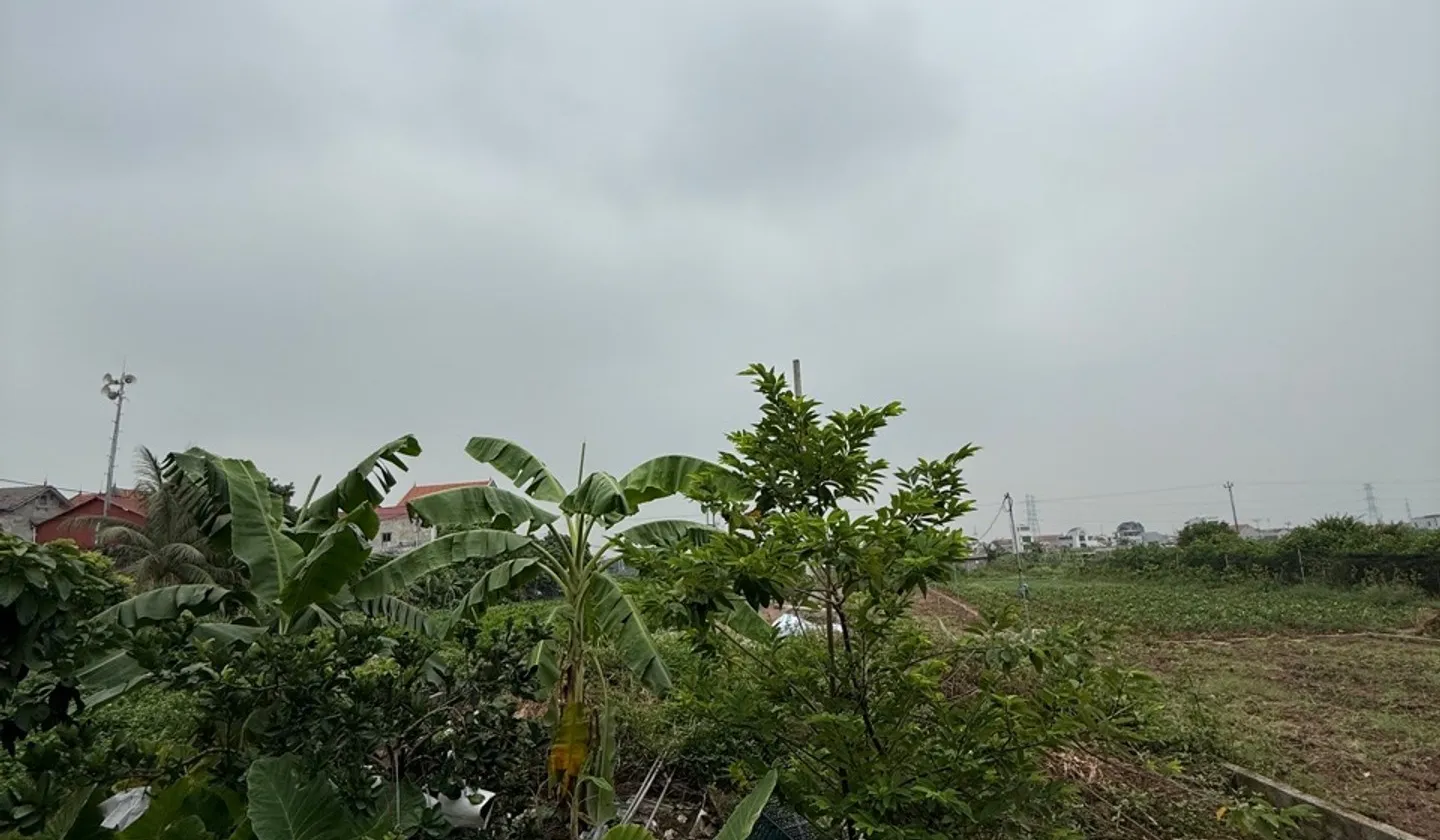 Đất Đẹp Dương Hạ - mế sở - Hưng Yên : Kinh Doanh & và đầu tư... Bán đất tại Mễ Sở, Hưng Yên 01