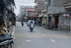 BÁN ĐẤT MAI CHÂU, ĐẠI MẠCH – GẦN KCN BẮC THĂNG LONG – HƠN 3 TỶ... Bán đất tại Thiên Lộc, Hà Nội 03