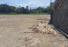 Bán đất 11.000m2 xã Hiệp Phước Nhà Bè giá 55 tỷ... Bán đất tại Hiệp Phước, Hồ Chí Minh 06