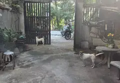 Nhà mặt tiền 3 tầng 231m2 tại Bình Chánh giá 12 tỷ... Bán nhà mặt phố tại Bình Lợi, Hồ Chí Minh 10