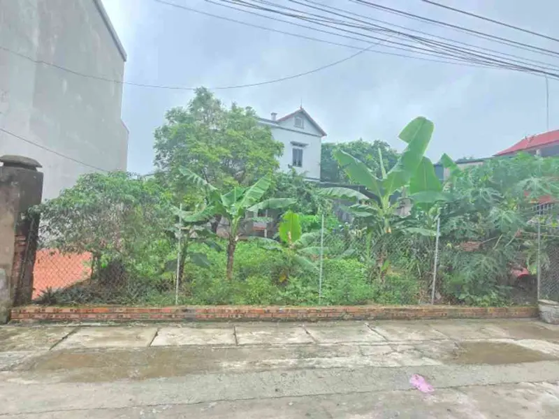 Cơ Hội Đầu Tư Độc Quyền - Đất Lô Góc Tại Ninh Xá, Bắc Ninh... Bán đất tại Ninh Xá, Bắc Ninh 01
