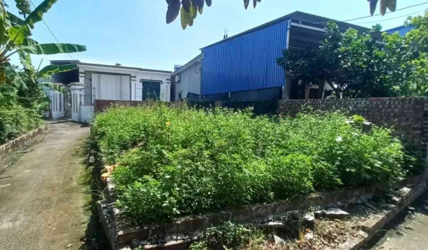 Đất mặt tiền 5m tại Hoàng Động, Hải Phòng với ngõ thông thuận tiện... Bán đất tại Thủy Nguyên, Hải Phòng 01