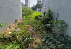 GIẢM GIÁ SÂU - ĐẤT AN PHÚ ĐÔNG 27 Q12 - 420M2 FULL THỔ CƯ - 10.5 TỶ - HXT - CHDV, BIỆT THỰ... Bán nhà riêng tại An Phú Đông, Hồ Chí Minh 02