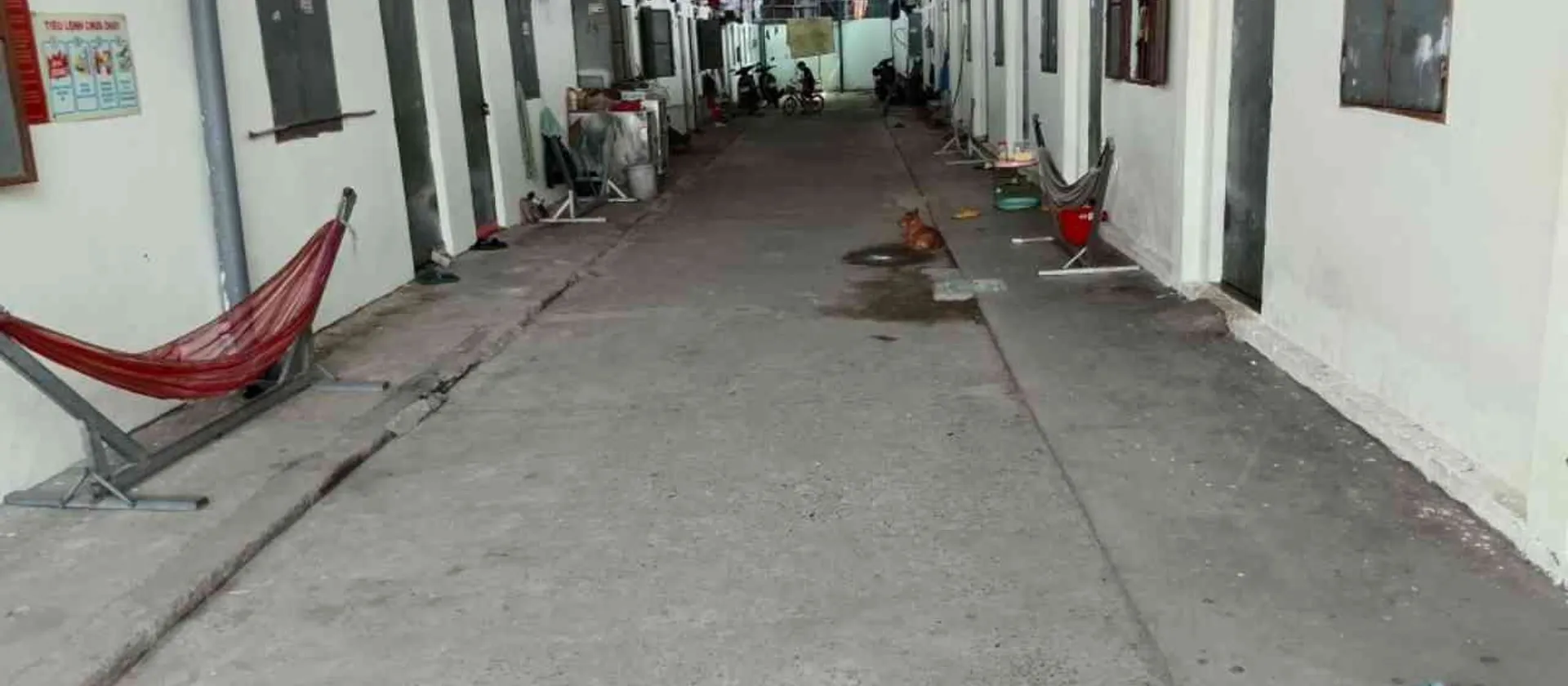 Bán đất mặt tiền Hội Nghĩa 88 Phường Bình Cơ diện tích 700m² pháp lý rõ ràng... Bán đất tại Bình Cơ, Hồ Chí Minh 01
