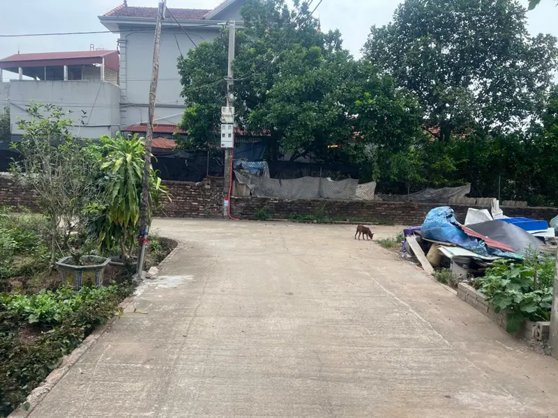 Đất - 72.5m² - Văn Giang, Hưng Yên - 3.5 tỷ... Bán đất tại Văn Giang, Hưng Yên 01