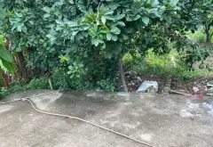 Bán đất thôn Hầu Lâm Động Thủy Nguyên diện tích 58,1m2 hướng Nam pháp lý rõ ràng... Bán đất tại Thiên Hương, Hải Phòng 04