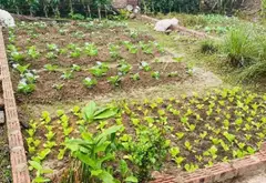 Cơ hội hiếm có sở hữu đất sạch Đình Trung với giá cực hấp dẫn... Bán đất tại Thư Lâm, Hà Nội 01