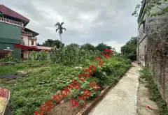 Bán đất phân lô tại xã Đồng Nguyên, thôn Tam Lư, diện tích 60m2, pháp lý chuẩn... Bán đất tại Đồng Nguyên, Bắc Ninh 01