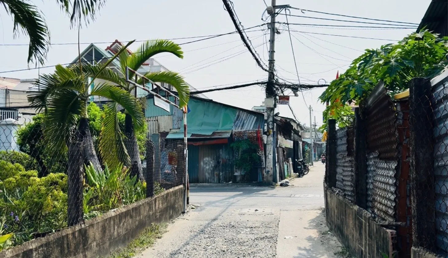 ĐẤT LỚN ĐÔNG HƯNG THUẬN – 499M² NGANG 8M NỞ HẬU – GIÁ CHỈ HƠN 4 TỶ 🔥... Bán đất tại Đông Hưng Thuận, Hồ Chí Minh 01