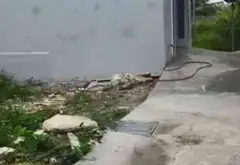Lô đất 63,6m2 hướng Tây Bắc tại phường Lưu Kiếm, Hải Phòng... Bán đất tại Lưu Kiếm, Hải Phòng 01