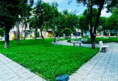 NHÀ VIEW CÔNG VIÊN NGUYỄN VĂN KHỐI – 2 MẶT HẺM LỚN – 12TY99 TL... Bán nhà riêng tại Thông Tây Hội, Hồ Chí Minh 04