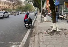 Bán nhà Trần Quốc Hoàn 36m² 4 tầng phân lô, ô tô tránh kinh doanh 14.3 tỷ... Bán nhà riêng tại Nghĩa Đô, Hà Nội 03
