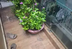 Bán nhà 4 tầng 2PN an ninh, diện tích 26m² tại quận trung tâm... Bán nhà riêng tại Bình Phú, Hồ Chí Minh 12