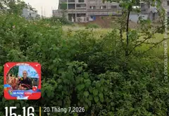 Lô Đất Hiếm Tại Khu Đô Thị Văn Phong, Đặc Khu Kinh Tế Cát Hải... Bán đất tại Gia Lộc, Hải Phòng 01