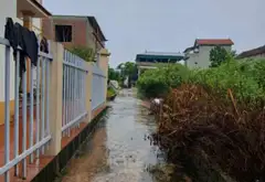 Lô đất góc view hồ xanh mát tại Văn Giang Hưng Yên... Bán đất tại Văn Giang, Hưng Yên 02
