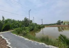 Bán đất 3380m2 mặt tiền 38m tại An Thới Đông Cần Giờ, giá 5.3 tỷ... Bán đất tại An Thới Đông, Hồ Chí Minh 07