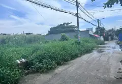 Mua Bán nhà phường Bình Chiểu, Thủ Đức, diện tích lớn 963m2, giá 18,5 tỷ TL... Bán nhà riêng tại Tam Bình, Hồ Chí Minh 03