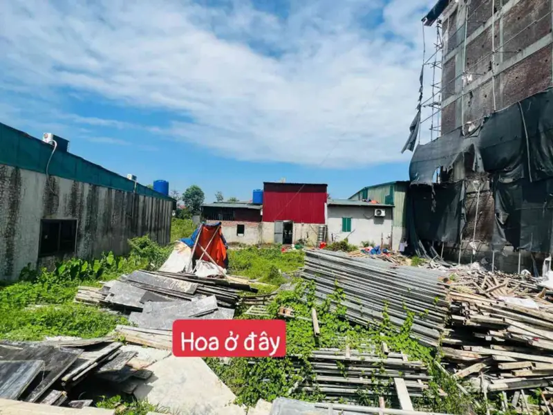Cơ hội sở hữu đất vàng Yên Trung, Bắc Ninh giá hợp lý... Bán đất tại Yên Trung, Bắc Ninh 01