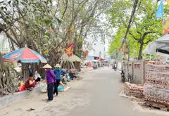 🌺DỰ ÁN VIN THUỴ LÂM - KHỔ ĐẤT ĐẸP - ĐƯỜNG THÔNG RỘNG 5M - CÁCH CHỢ SẦM UẤT CHỈ 50M🌺
 Thuỵ Lôi... Bán đất tại Thư Lâm, Hà Nội 01