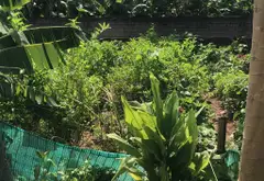 Đất Hiếm 2 Mặt Ngõ ô Tô Đỗ Cửa, Lợi Nhuận Đầu Tư Tại Yên Nghĩa... Bán đất tại Yên Nghĩa, Hà Nội 01