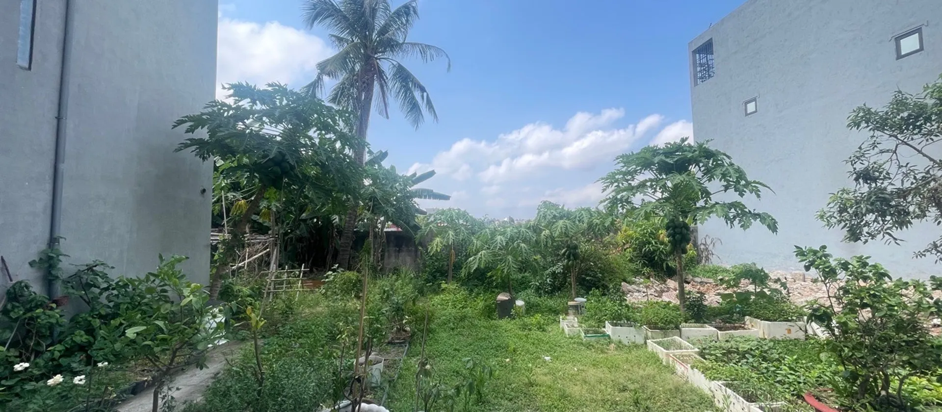Lô đất hướng Nam 76m² tại khu vực Ngô Gia Tự đang phát triển... Bán đất tại Hải An, Hải Phòng 01