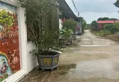 Siêu phẩm đất lô góc nở hậu thôn Vàng Thông, Gia Bình - Cơ hội đầu tư cực hiếm... Bán đất tại Gia Bình, Bắc Ninh 04