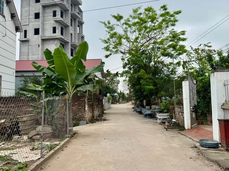 + Lô đất 73,3m2 bên mình bán thuộc Quán Trạch, Văn Giang. Đường rộng rãi, ô tô tránh, chạy vòng qua... Bán đất tại Văn Giang, Hưng Yên 01