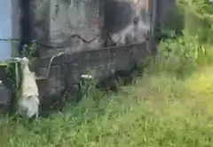 Cơ hội sở hữu lô đất đẹp chuẩn vị trí vàng tại thôn Hầu, Lâm Động... Bán đất tại Thiên Hương, Hải Phòng 03