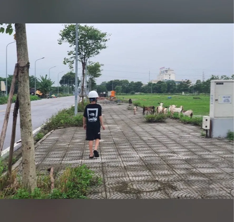 Lô đất đẹp tại Mão Điền, Bắc Ninh - cơ hội lý tưởng cho nhà đầu tư... Bán đất tại Mão Điền, Bắc Ninh 01