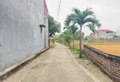Cơ hội hiếm có: Lô góc 2 mặt tiền Đan Tảo, Sóc Sơn giá tốt chốt ngay hôm nay... Bán owner_side tại Sóc Sơn, Hà Nội 05