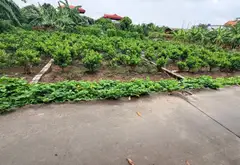 84m đất đông tảo khoái Châu Hưng Yên đẹp không tì vết... Bán đất tại Hoàn Long, Hưng Yên 06