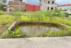 Cần bán Đất đẹp 2 mặt ngõ ô tô, chỉ hơn 1 tỷ sổ đỏ sang tên ngay tại Bãi Sậy 3... Bán đất tại Triệu Việt Vương, Hưng Yên 06