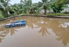 Nhà mặt phố rộng lớn ngay trung tâm sầm uất Bến Lức... Bán nhà mặt phố tại Bình Lợi, Hồ Chí Minh 10