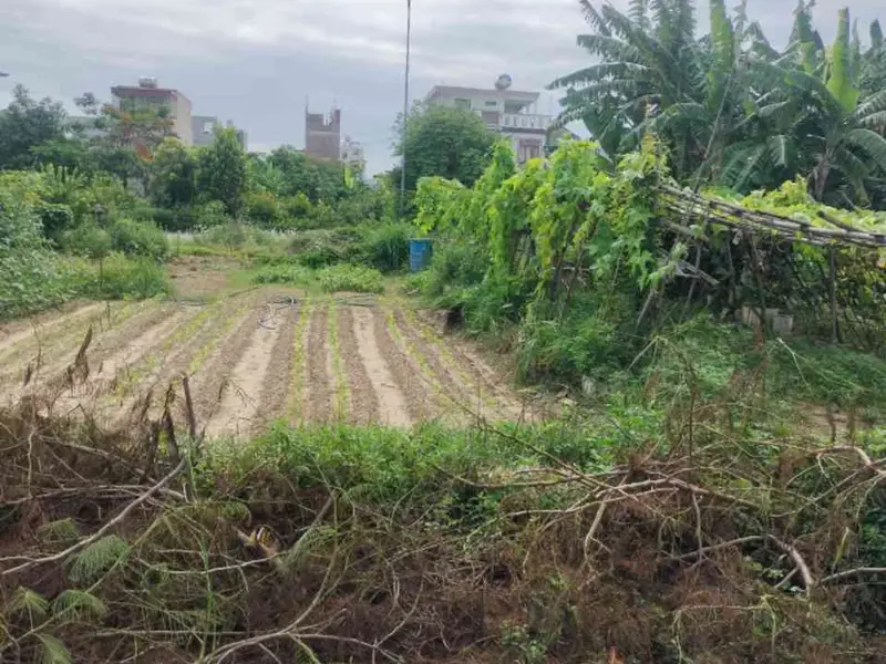 Lô đất góc Tái định cư Tràng Cát đẳng cấp tại cửa ngõ phía Đông Nam Hải Phòng... Bán đất tại Hải An, Hải Phòng 01