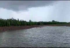 Bán đất nông nghiệp 20.405m2 tại Hiệp Phước, Nhà Bè... Bán đất tại Hiệp Phước, Hồ Chí Minh 01