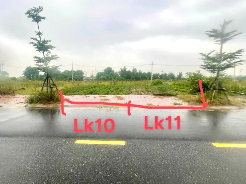 Bán đất đấu giá xã Tiên Tiến, Hưng Yên, diện tích 96.7 m2 mặt tiền rộng, pháp lý rõ ràng... Bán đất tại Tiên Tiến, Hưng Yên 01