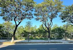 CƠ HỘI SỞ HỮU BIỆT THỰ MẶT TIỀN THĂNG LONG - GIẢM GẤP 2 TỶ!... Bán biệt thự, liền kề tại Hòa Cường, Đà Nẵng 08