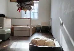 Bán Căn Chung Cư Victoria Văn Phú Hà Đông 2PN 2VS căn góc thoáng sáng nội thất đẹp long lanh Ở Ngay... Bán căn hộ chung cư tại Hà Đông, Hà Nội 03