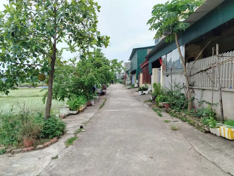 Bán đất 100m² hướng Bắc mặt tiền 5.8m tại Ném Sơn với giá tốt... Bán đất tại Hạp Lĩnh, Bắc Ninh 01