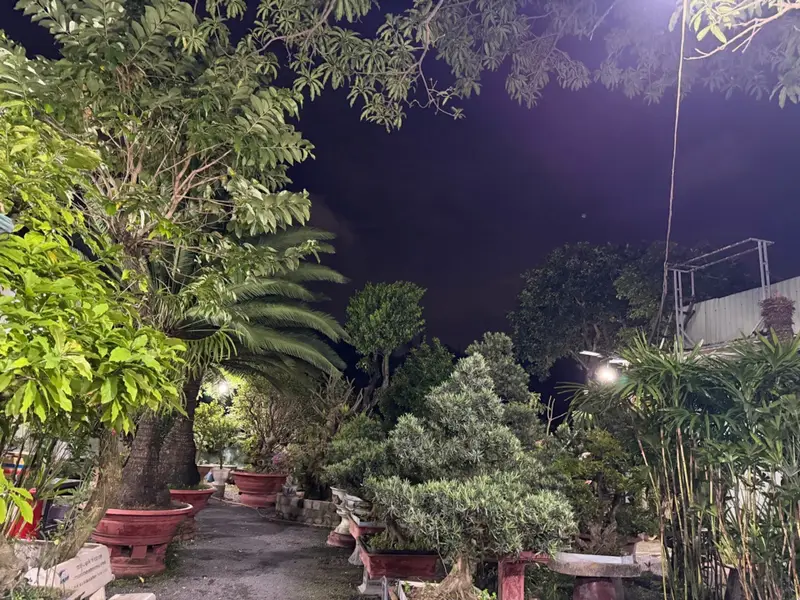 Đất Biệt Thự View Công Viên Gò Vấp – Sở Hữu Vàng, Cơ Hội Vàng... Bán đất tại An Nhơn, Hồ Chí Minh 01