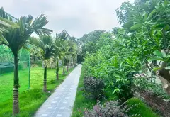 Biệt thự liền kề -đông tảo-541.4m² - Hoàn Long, Hưng Yên - 15.4 tỷ... Bán biệt thự, liền kề tại Hoàn Long, Hưng Yên 07