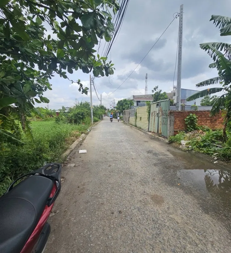 Bán đất An Phú Đông, Quận 12, HCM, 1246m2 ngang 32m, đường 10m, 17 tỷ... Bán đất tại An Phú Đông, Hồ Chí Minh 01