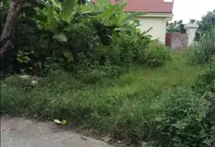 Bán đất diện tích rộng tại phường Thiên Hương, Thủy Nguyên Hải Phòng... Bán đất tại Thiên Hương, Hải Phòng 01