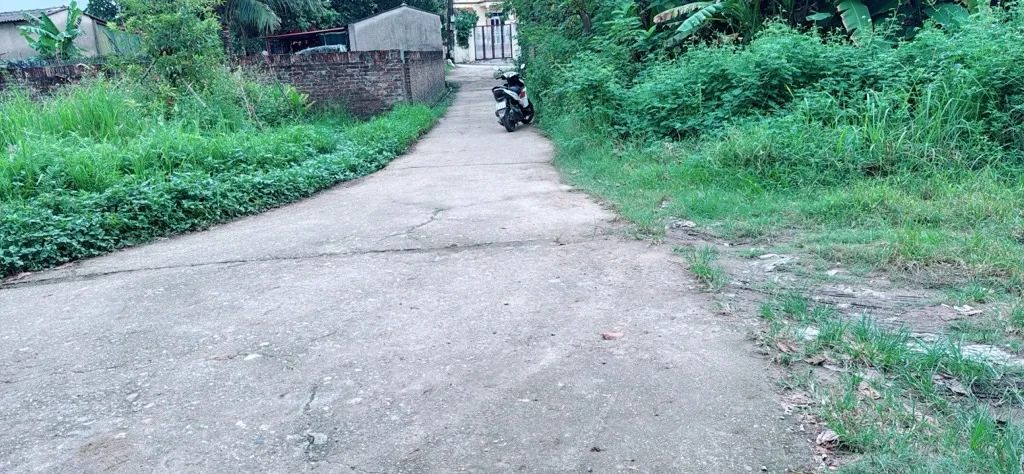 Cơ Hội Vàng Đầu Tư Đất Đẹp Tại Sóc Sơn!... Bán đất tại Sóc Sơn, Hà Nội 01